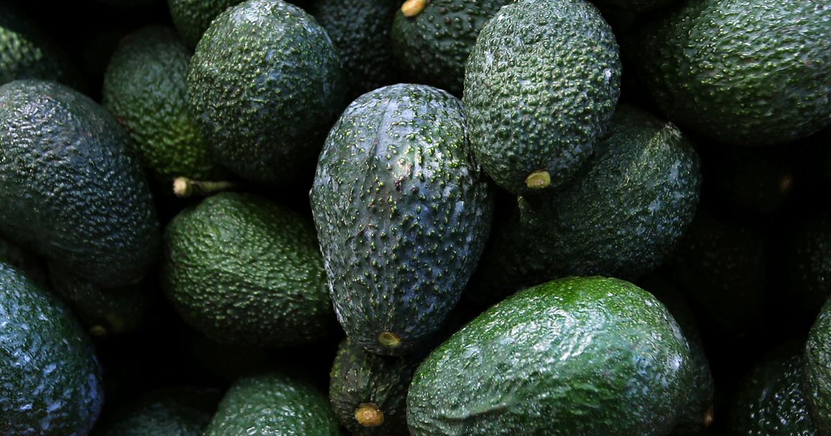 Los aguacates de México enfrentan las consecuencias de la violencia y la deforestación