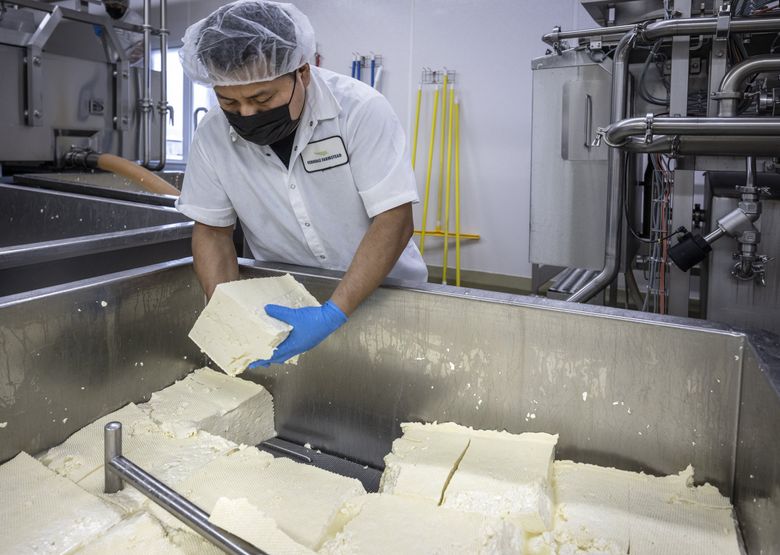 What Does A Cheese Maker Do (including Their Typical Day at Work)