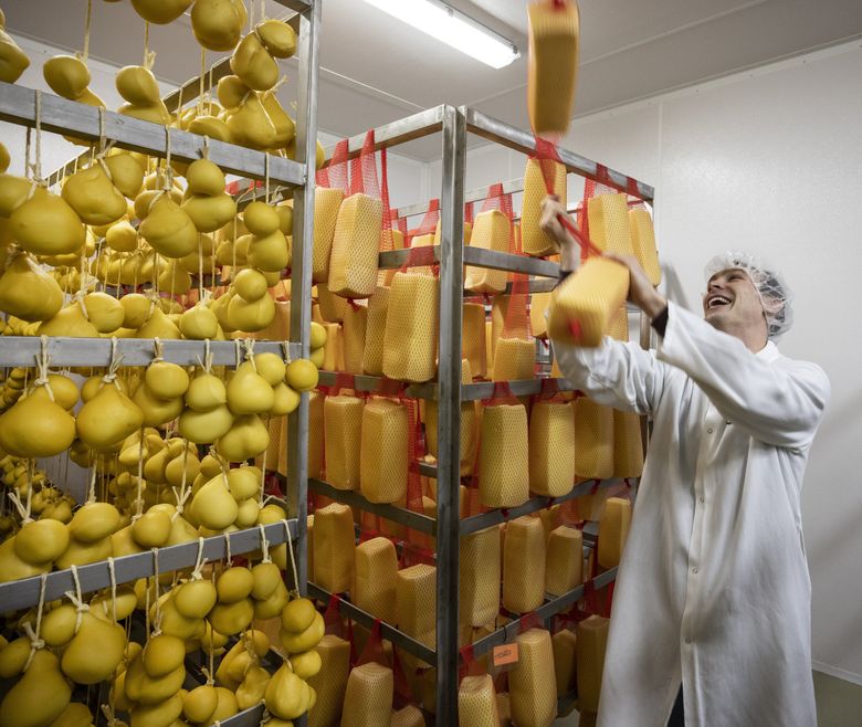 How to start up a cheese making business