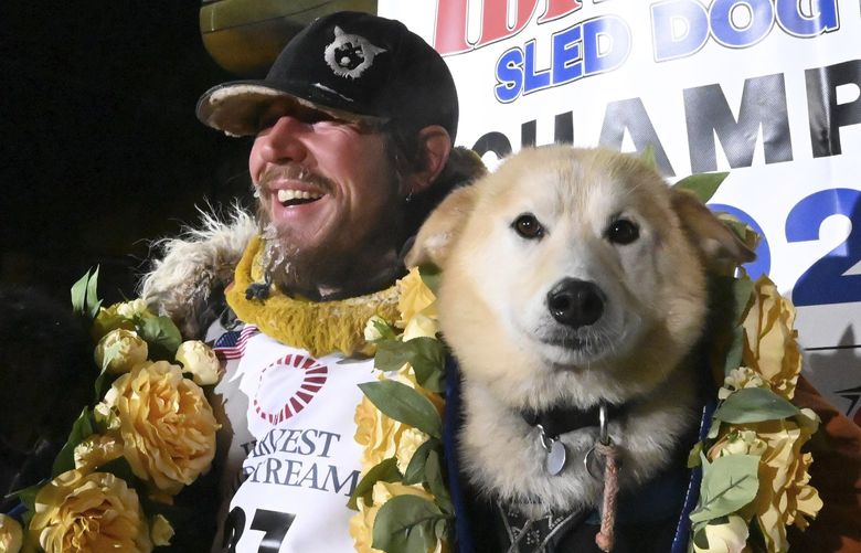 Iditarod winner Brent Sass poses for photos with lead dogs Morello, left, and Slater in the finish chute of the Iditarod Trail Sled Dog Race in Nome, Alaska, Tuesday March 15, 2022. (Anne Raup/Anchorage Daily News via AP) AKAND201 AKAND201