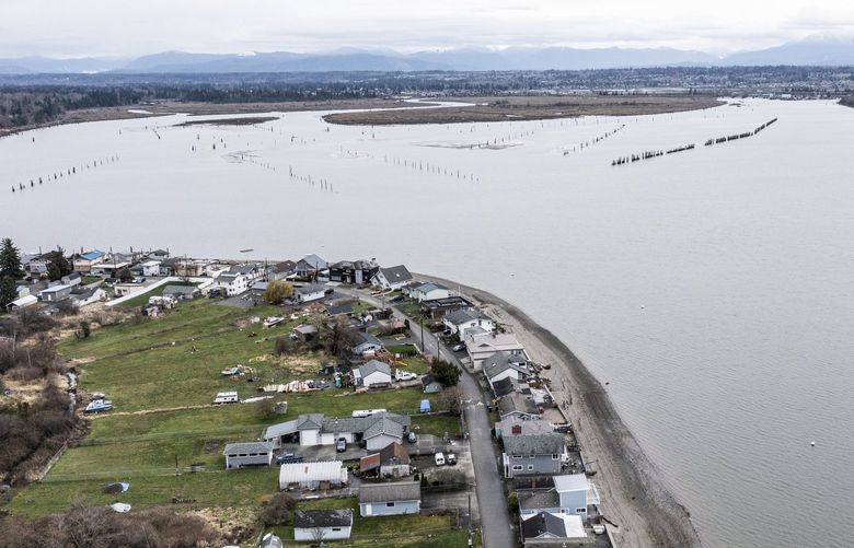 Thursday, March 17, 2022.   Portions of the estuary coming out from the Snohomish River are now being protected under a new tideland reserve created by Commissioner of Publc Lands Hilary Franz.  This includes protections for eelgrass and kelp along Priest Point on the Tulalip reservation.   219865