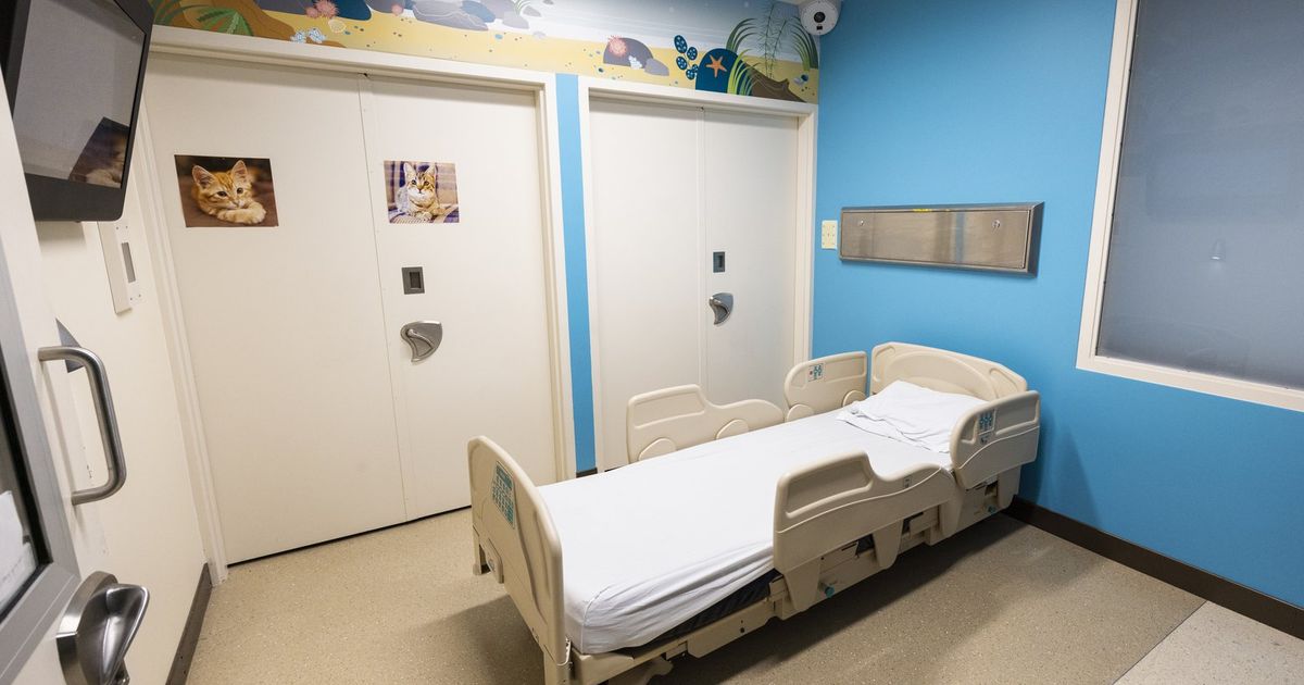 Why are children living in emergency rooms? Join The Seattle Times for ...