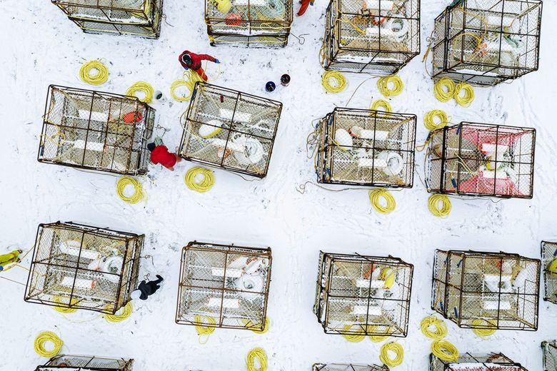 The crew of the Pinnacle rigs crab pots Jan. 15 in Captains Bay on the island of Unalaska. The pots are stored there during the off-season, and sometimes need minor repairs before each season. (Loren Holmes / Anchorage Daily News) 