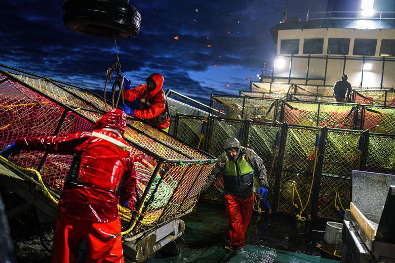 The crew of the Pinnacle set a crab pot on the launcher. The platform secures the 900-pound pot while it is being rigged, and also tips it overboard. (Loren Holmes / Anchorage Daily News) 
