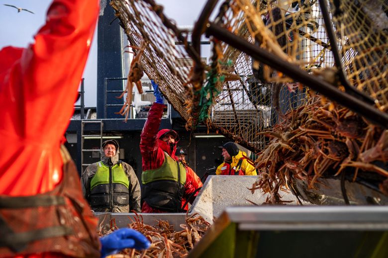 The crew of the Pinnacle unloads a crab pot Jan. 24. Each pot is large enough to hold over 1,000 crabs, but catches of that size are not common. (Loren Holmes / Anchorage Daily News) 