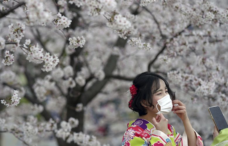 A woman wearing a face mask views a cherry blossom bloom at the Sumida Park Monday, March 28, 2022, in Tokyo. (AP Photo/Eugene Hoshiko) XEH101 XEH101