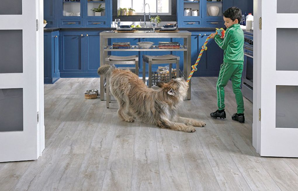 what wood floors are best for dogs