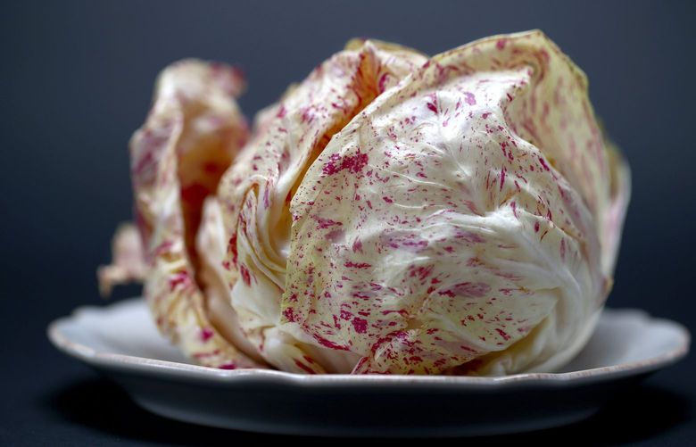 PACIFIC NORTHWEST MAGAZINE – TASTE COLUMN A STILL LIFE OF CASTELFRANCO RADICCHIO – 144593 – 020515