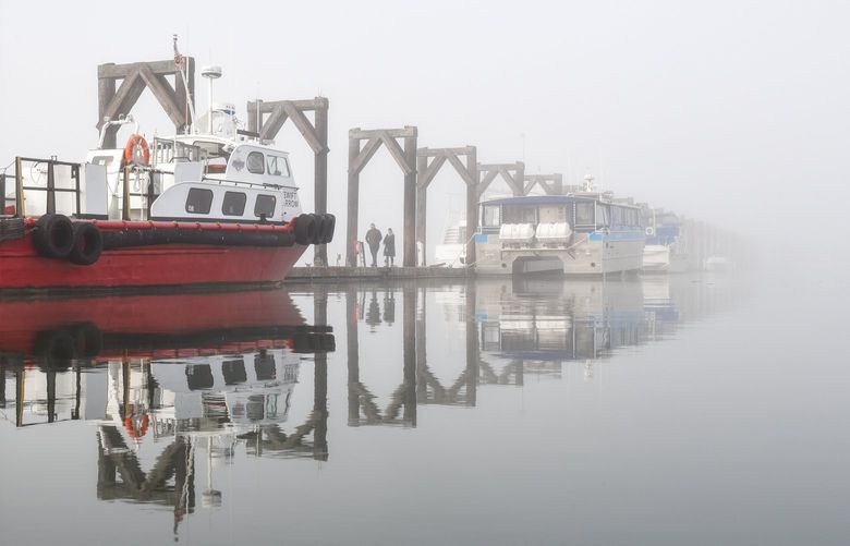 *** READER’S LENS – ONE TIME USE ONLY ***
Janet Jeffries
janetjeffries8@gmail.com
Bothell, Washington
425-367-1373
Port of Everett Marina	2022/01/27
“Taking advantage of this week’s foggy mornings, using a Nikon D750, I captured this image of the Port of Everett’s south marina guest dock disappearing mysteriously into the fog.”
420D94FD-BF55-40C8-8307-38ABB31E65DC.jpeg
I agree to the Readers Lens Terms and Conditions
12:45:58 28 Jan, 2022