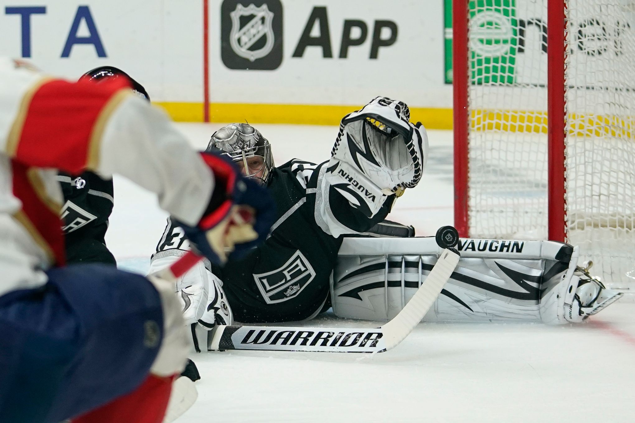 Florida Panthers add scoring by signing Anthony Duclair