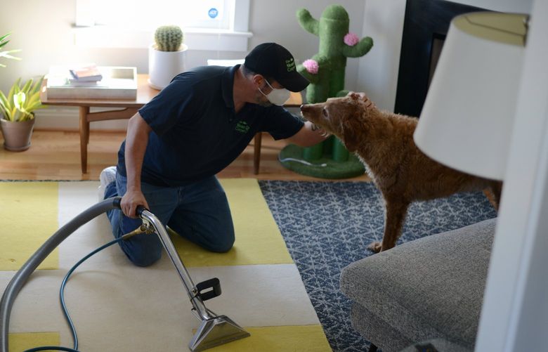 Vaughn Smith calms a dog named Schroeder while he cleans carpets at a home in Alexandria, Virginia. MUST CREDIT: Photo for The Washington Post by Astrid Riecken.