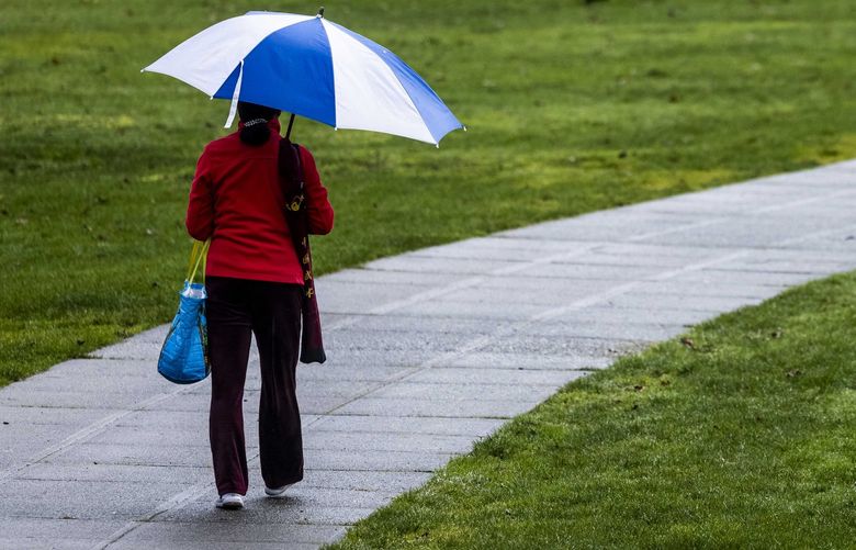 A park-goer walks through a soggy park after a rain shower at Idylwood Park in Redmond on March 3, 2022. LO