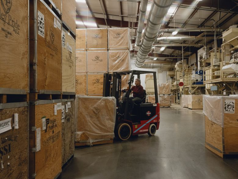How to Quickly Get a Forklift Unstuck: Proven Strategies Revealed