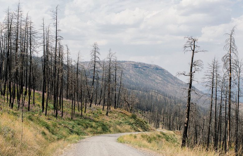 The hills around Cache Creek are still scarred from the Elephant Hill fire five years later, as other fires continue to rage regularly in the vicinity. MUST CREDIT: Photo for The Washington Post by Alana Paterson.