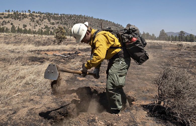 A member of the Arizona Department of Forestry and Fire Management Phoenix Crew dig at burning roots as another crew member searches for smoke in Division Alpha of the Tunnel Fire while looking for hot spots, Thursday, April 21, 2022 near Flagstaff, Ariz. (Tom Story/Northern Arizona Type 3 Incident Management Team, via AP) AZMY208 AZMY208