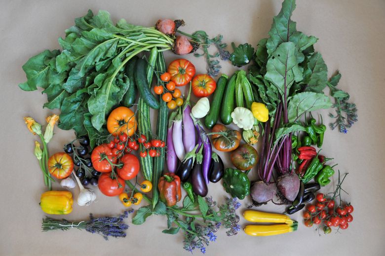 To maximize production from your garden for bountiful and diverse harvests such as this late-summer one, you’ll need a solid planting plan and detailed record-keeping. (Hilary Dahl)
