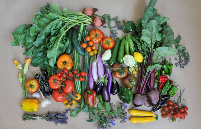Late-summer garden harvests are bountiful and diverse. Credit: Hilary Dahl