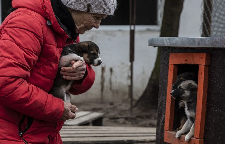 Asya Serpinska, 77, as she visits the puppies born during the Russian invasion. MUST CREDIT: Photo for The Washington Post by Heidi Levine