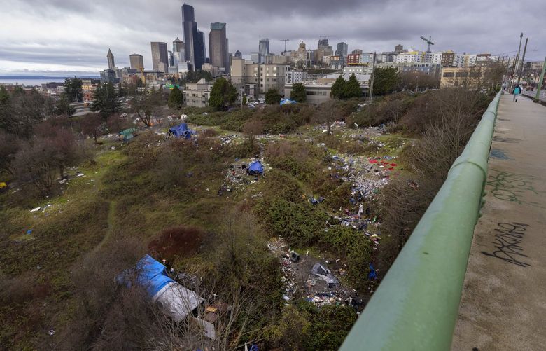 Trash lines the hill of a former homeless camp just north of Dearborn St. in Seattle, shot Thursday, December 16, 2021.  The Seattle skyline can be seen in the background. 219134