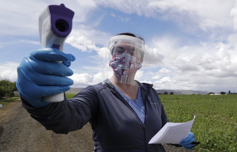In this photo taken Tuesday, June 16, 2020, Gilbert Orchards safety manager Sarah Rasmussen takes the temperature of a visitor to the orchard in Yakima, Wash. The coronavirus pandemic is hitting Yakima County hard, with cases surging far faster in than in the rest of the state. The virus has caused turmoil in the farm and food processing industries, where some fearful workers staged wildcat strikes recently to demand that employers provide safer working conditions. (AP Photo/Elaine Thompson)