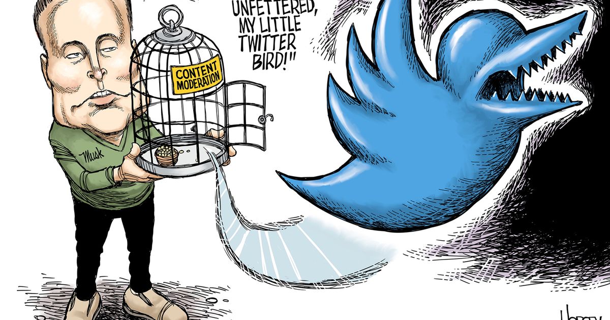 Misinformation's wingman? | The Seattle Times Misinformation's wingman? | The Seattle Times
