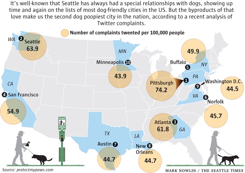 which cities have the most dogs