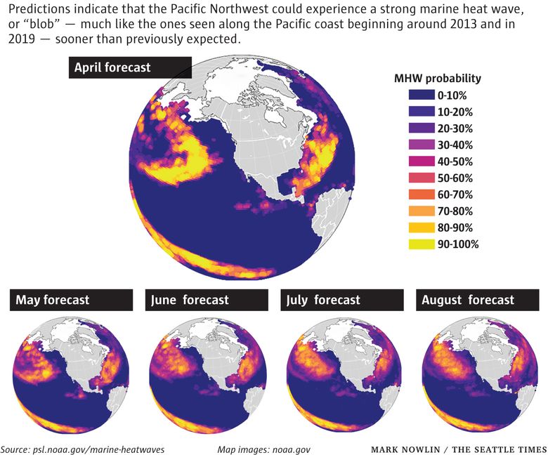 NOAA forecast indicates increase in global marine heatwaves through May 2024  - The Watchers