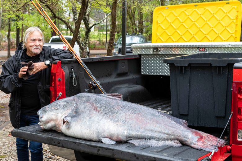 Mississippi man catches 131-pound catfish, sets state record