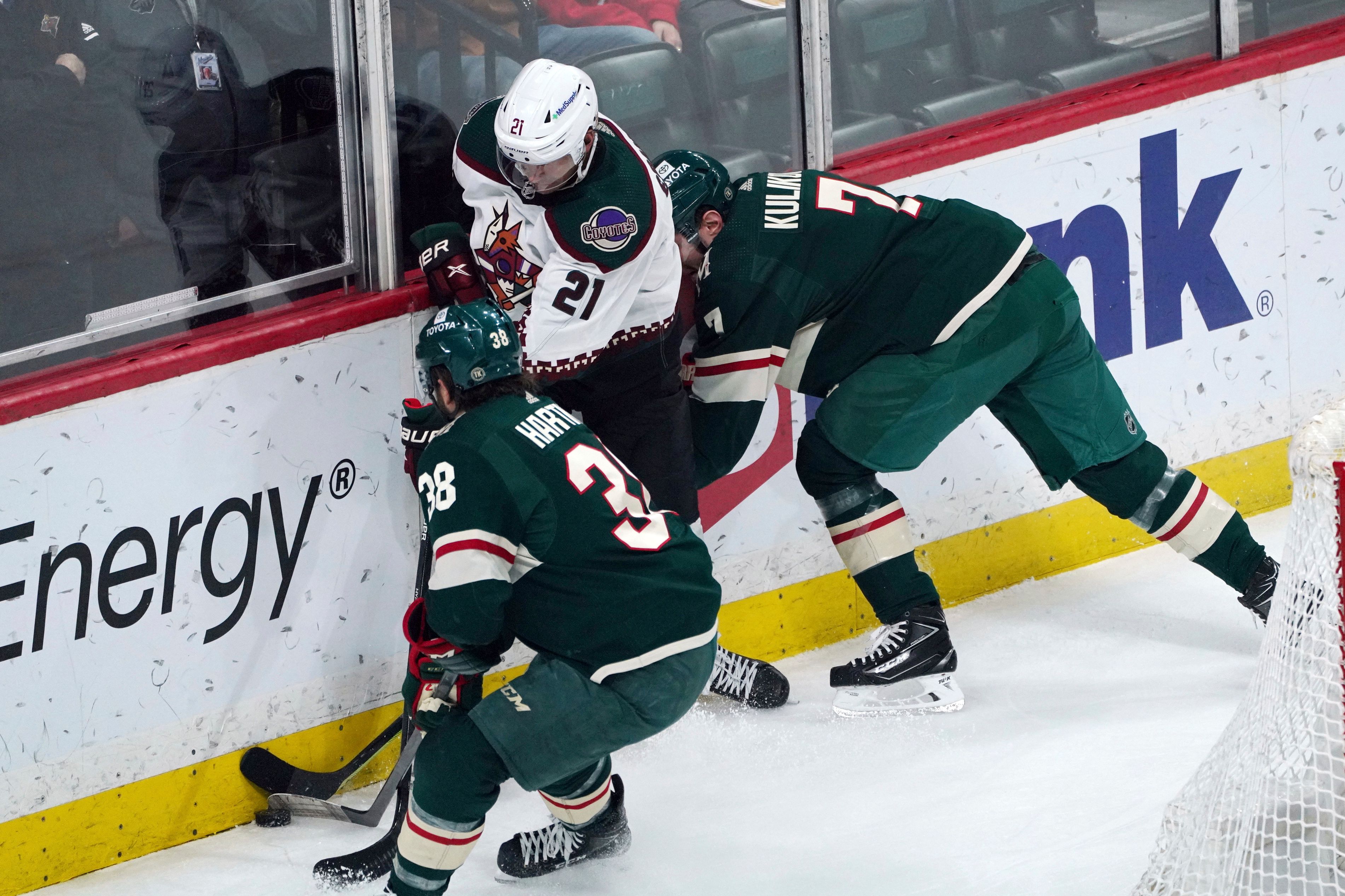 minnesota wild arizona coyotes