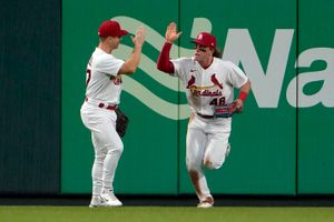 Hudson, Goldschmidt lift Cardinals over D-backs 8-3 - The San Diego  Union-Tribune