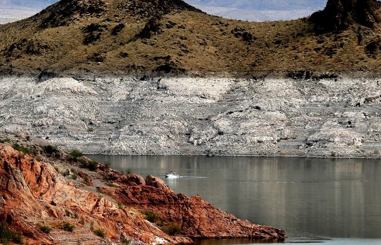 A boat navigates Lake Mead, where a white “bathtub ring” along the shore shows how far below capacity the nation’s largest reservoir currently is, June 11, 2021. A barrel containing human remains has been discovered in Nevada’s Lake Mead. (Luis Sinco/Los Angeles Times/TNS) 46848930W 46848930W
