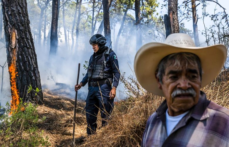 Workers try to contain a bush fire, lit by rival cartels, to block access to a road used as an important escape route into the mountains in Uruapan, Mexico on March 7, 2022. In the state of Michoacán, small drug cartels compete with larger ones for territory, leaving the residents caught in the middle of a brutal turf war. (Daniel Berehulak/The New York Times) XNYT12