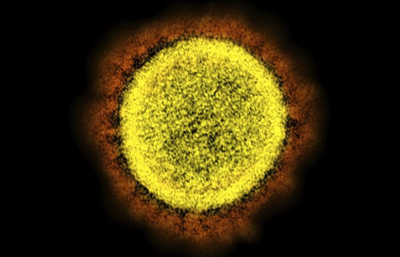 FILE – This 2020 electron microscope image made available by the National Institute of Allergy and Infectious Diseases shows a Novel Coronavirus SARS-CoV-2 particle isolated from a patient, in a laboratory in Fort Detrick, Md.  The coronavirus pandemic was considered by many Big Ten coaches as the biggest opponent for conference teams coming into this virus-delayed football season, and it has been. (NIAID/NIH via AP, File)