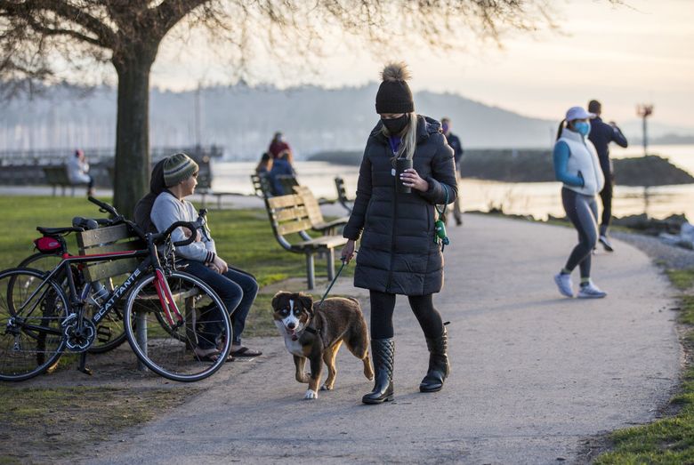 A woman walks her dog at Golden Gardens last January.  (Amanda Snyder / The Seattle Times)