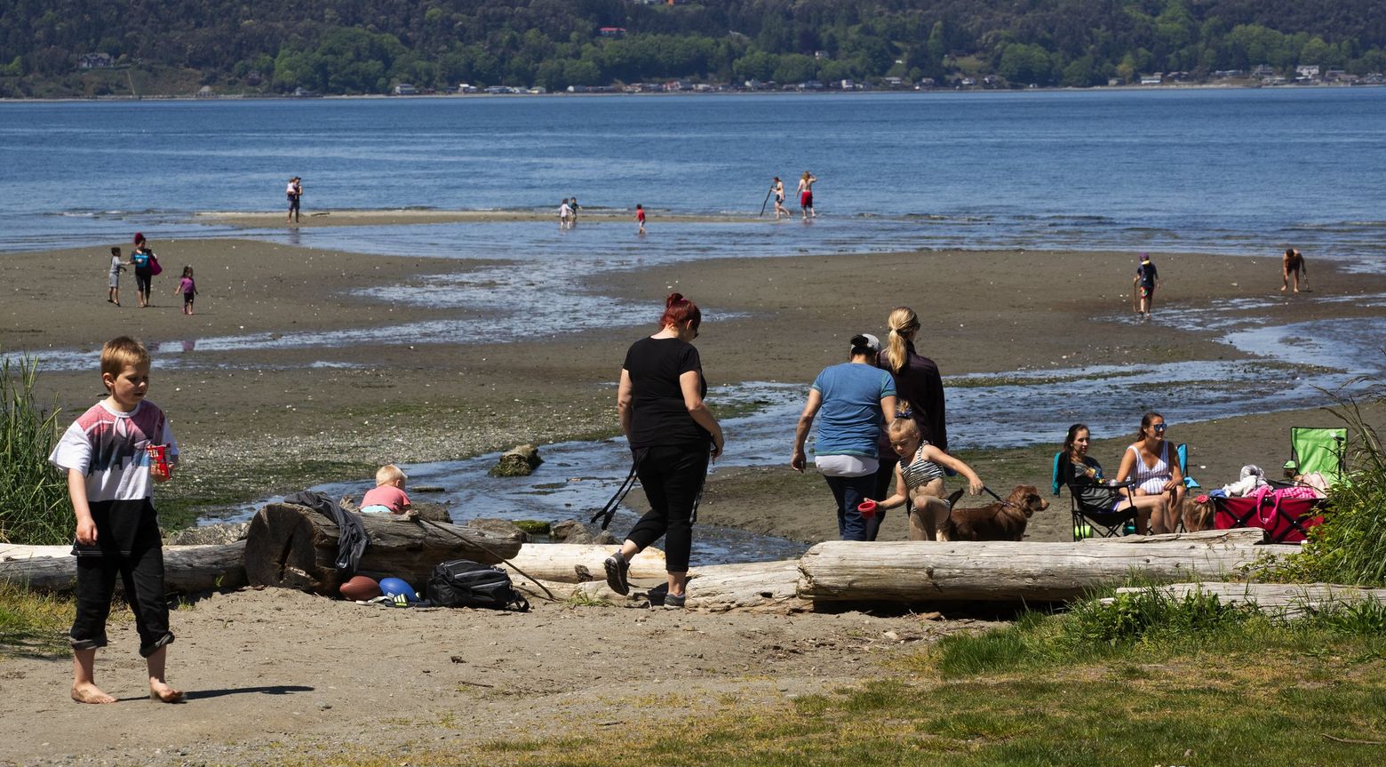 are dogs allowed at washington state parks