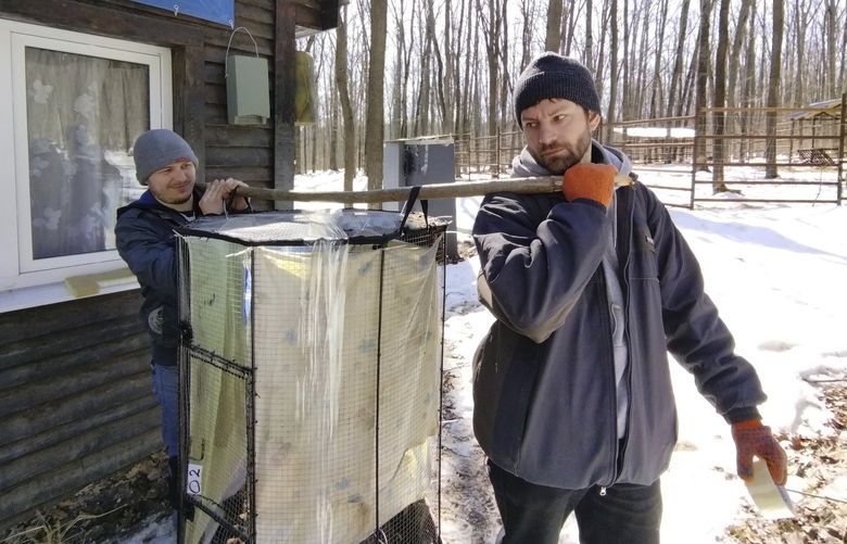 In this March 2022 photo provided by Alona Shulenko, fellow zoologist Anton Vlaschenko, foreground, and a volunteer transport bats at the Ukrainian Bat Rehabilitation Center in Kharkiv, Ukraine. The team released hibernating bats from their facilities in March. (Alona Shulenko via AP) NY565 NY565