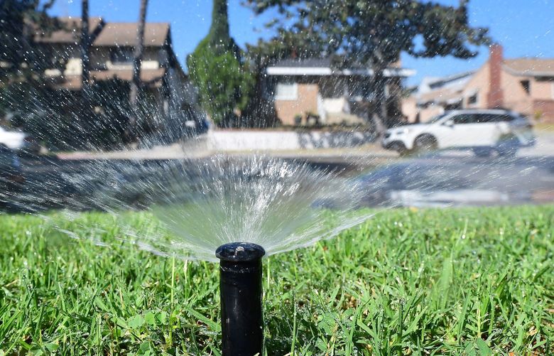 A sprinkler waters grass in Alhambra, California, on Sept. 23, 2021. (Frederic J. Brown/AFP/Getty Images/TNS) 46422266W 46422266W