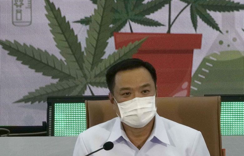 FILE – Thailand’s Public Health Minister Anutin Charnvirakul speaks at a news conference at the Public Health Ministry in Nonthaburi, Thailand, Feb. 8, 2022, after signing a measure that drops cannabis from his ministry’s list of controlled drugs. Charnvirakul, who has spearheaded the country’s drive to decriminalize cannabis, has said on Wednesday, May 11 the government will distribute 1 million of the plants free when most legal restrictions on production and possession of the drug are lifted next month. (AP Photo/Sakchai Lalit, file) LLT114 LLT114