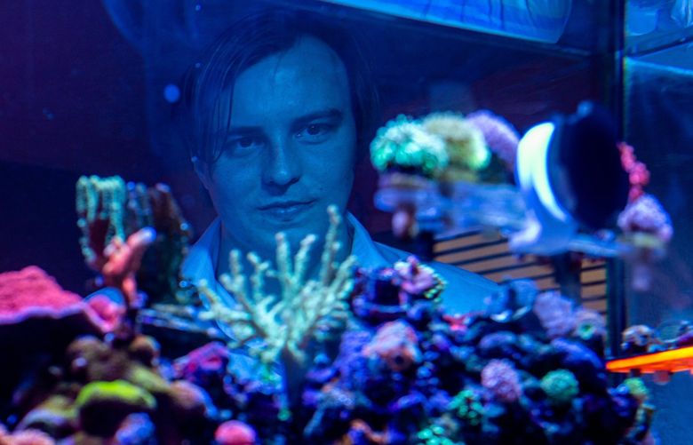 Schuyler Wagner, a financial analyst who spends $750 to $1,500 a month on his hobby, coral farming, and his seven tanks, at his home in Tempe, Ariz., May 3, 2022. Many adults under 35 are throwing financial caution to the wind as they save less and spend more in pursuit of their passions. (Ash Ponders/The New York Times) XNYT24 XNYT24