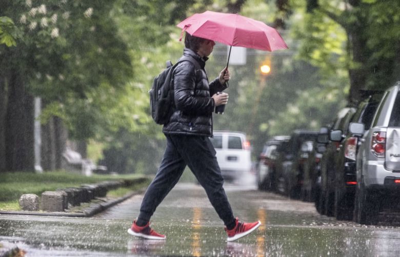 Wed. May 18, 2022.      Students in the University District of Seattle had to stoop to using umbrella’s as a constant drizzle blanked the early morning walkers to class.   220406