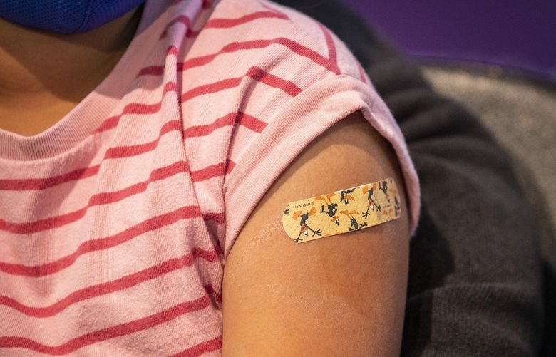 Seven-year-old Elise Wong, one of the first to get the vaccine, gets a bandaid over where she received the shot as several children ages 5-11 got the Pfizer vaccine for children at Shoreline Community College on Wednesday, Nov. 3, 2021. Her sister Vivienne, 5, and brother Micah, 10, also received the vaccine at the event.
University of Washington Medicine administers some of the first Pfizer vaccines for children to a group of kids ages 5-11