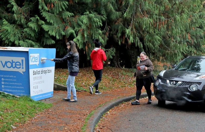 Voters line up at a ballot box near Gas Works Park in Wallingford neighborhood. 218703