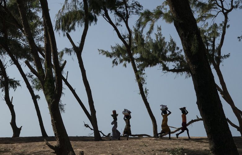 FILE – Women walk under filao trees planted to slow coastal erosion as they form a curtain that protects the beginning of the Great Green Wall, a project that began in 2007 along the Atlantic Ocean, in Lompoul village near Kebemer, Senegal,  Nov. 5, 2021. A series of complex challenges, including a lack of funding and political will as well as rising insecurity linked to extremist groups al-Qaida and the Islamic State in Burkina Faso, are obstructing progress on Africa’s Great Green Wall, according to experts involved in the initiative. (AP Photo/Leo Correa, File) CAITH504 CAITH504