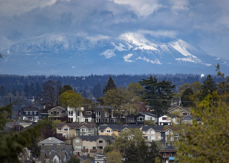 Homes between Seattle’s Central District and Judkins Park neighborhoods in April as viewed looking east from north Beacon Hill. (Ken Lambert / The Seattle Times)
