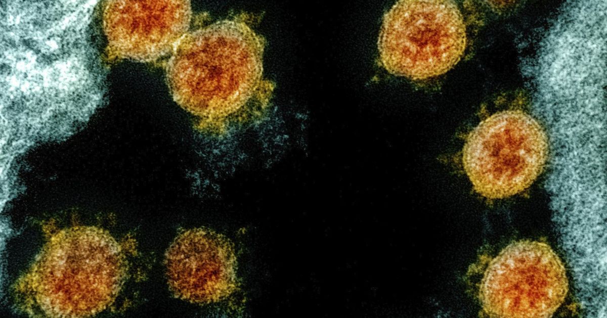 Does the COVID vaccine protect against BA.5 variant? A doctor answers.