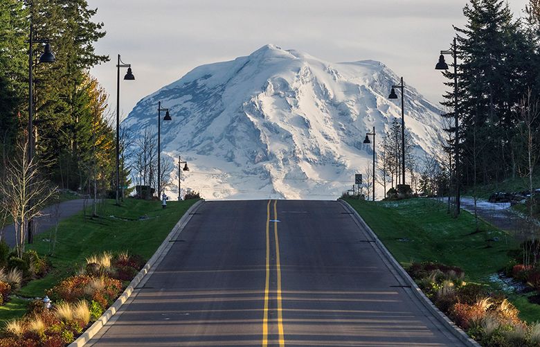 Wildlife road trip: Whale watching in Washington state | The Seattle Times