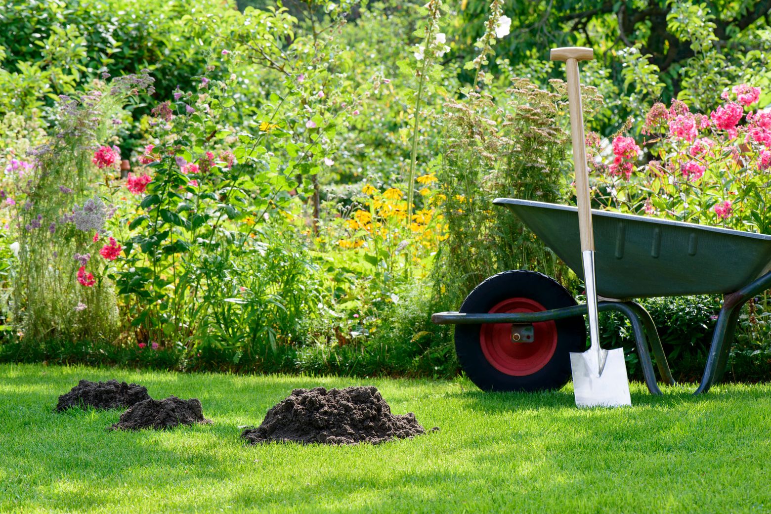 https://images.seattletimes.com/wp-content/uploads/2022/05/garden1_0529.jpg?d=1560x1040