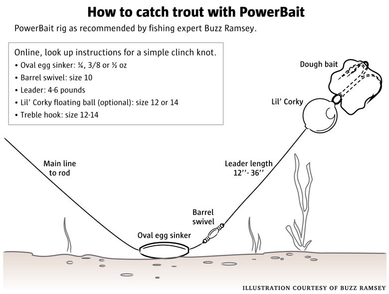 Hatchery trout & PowerBait at lowland lakes: Great times for tens