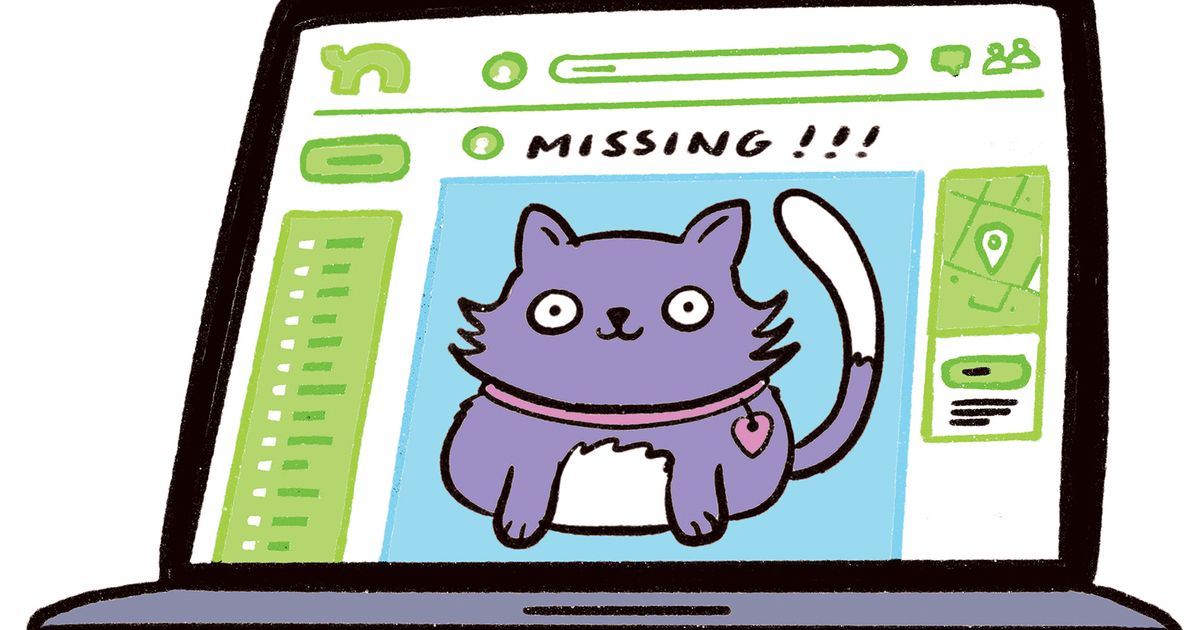 Rant & Rave: Missing cat found almost 2 years later, thanks to helpful Seattleites