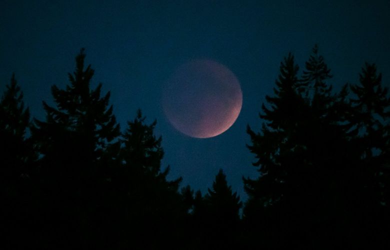 A super-full moon in full eclipse, also known as a “Blood Moon” rises over Seward Park in Seattle Sunday September 27, 2015.